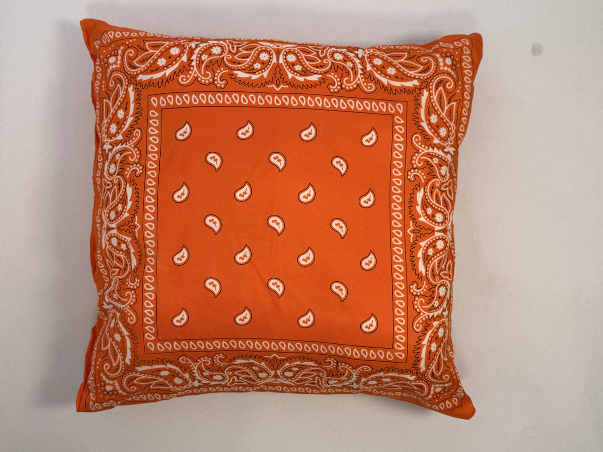 Bandana Pillows